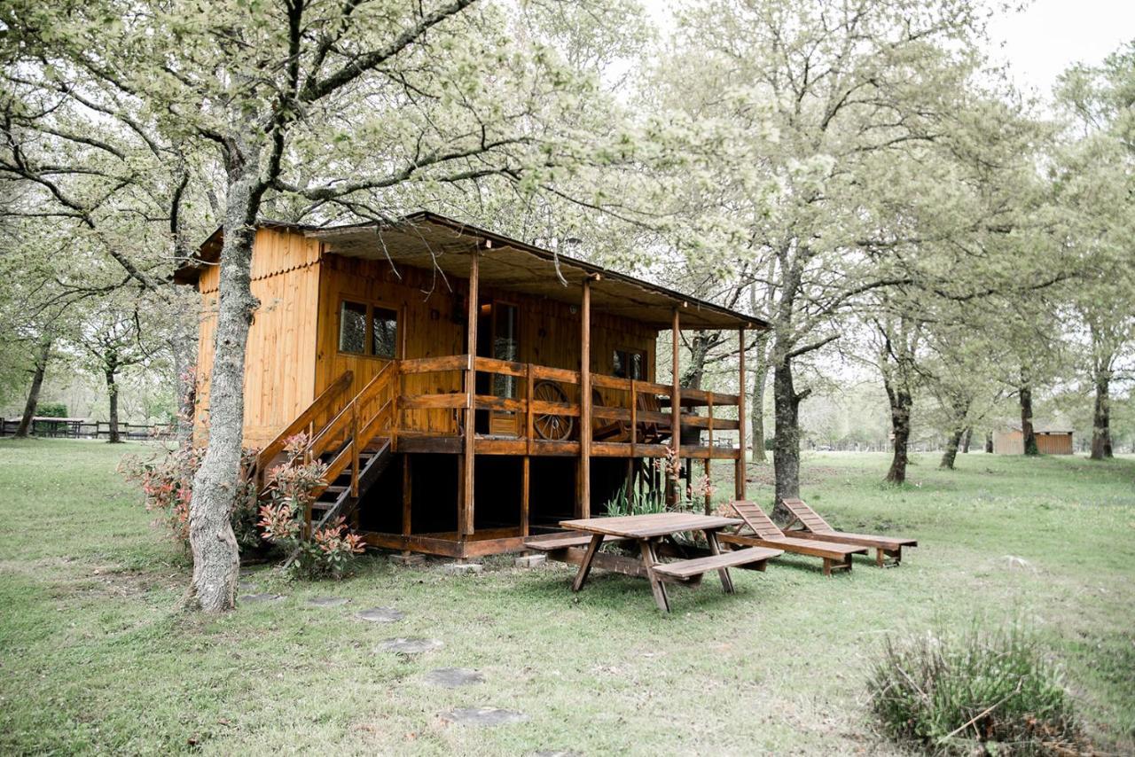 Le Ranch Amadeus Acomodação com café da manhã Saint-Paul-en-Born Exterior foto