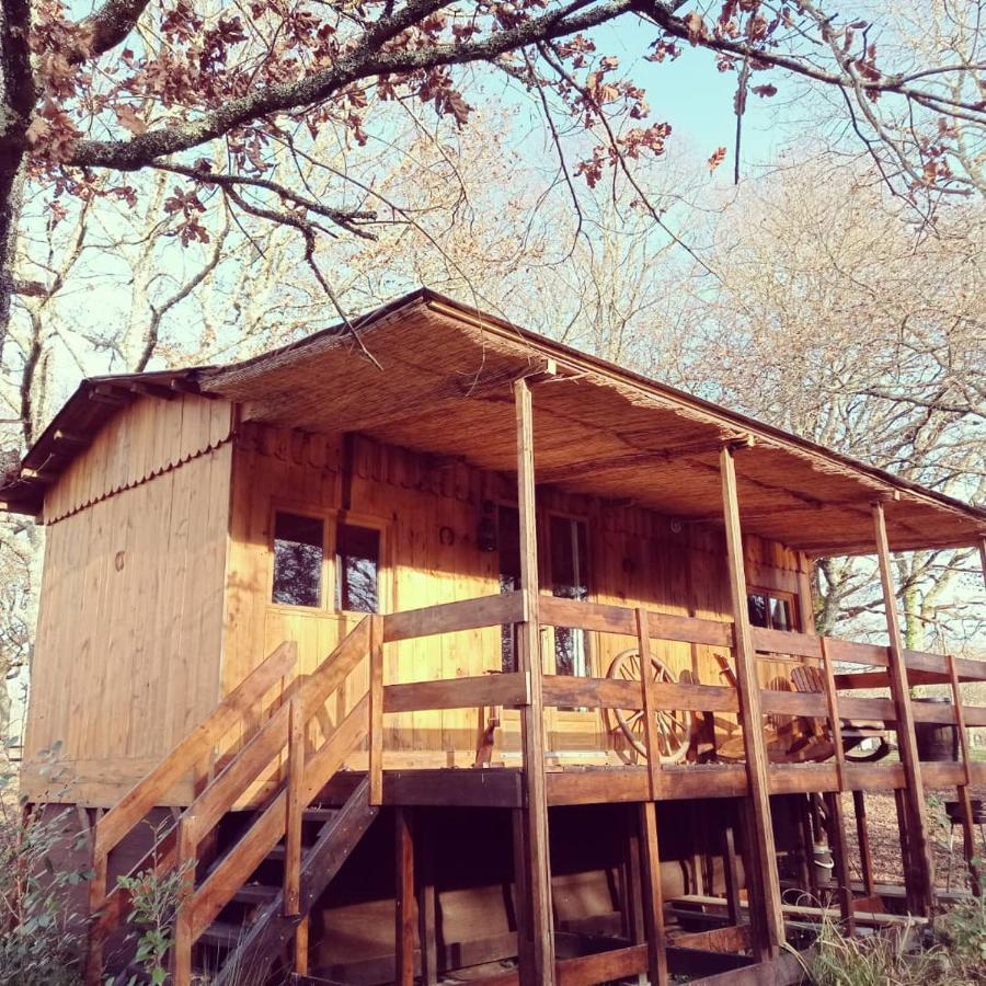 Le Ranch Amadeus Acomodação com café da manhã Saint-Paul-en-Born Exterior foto
