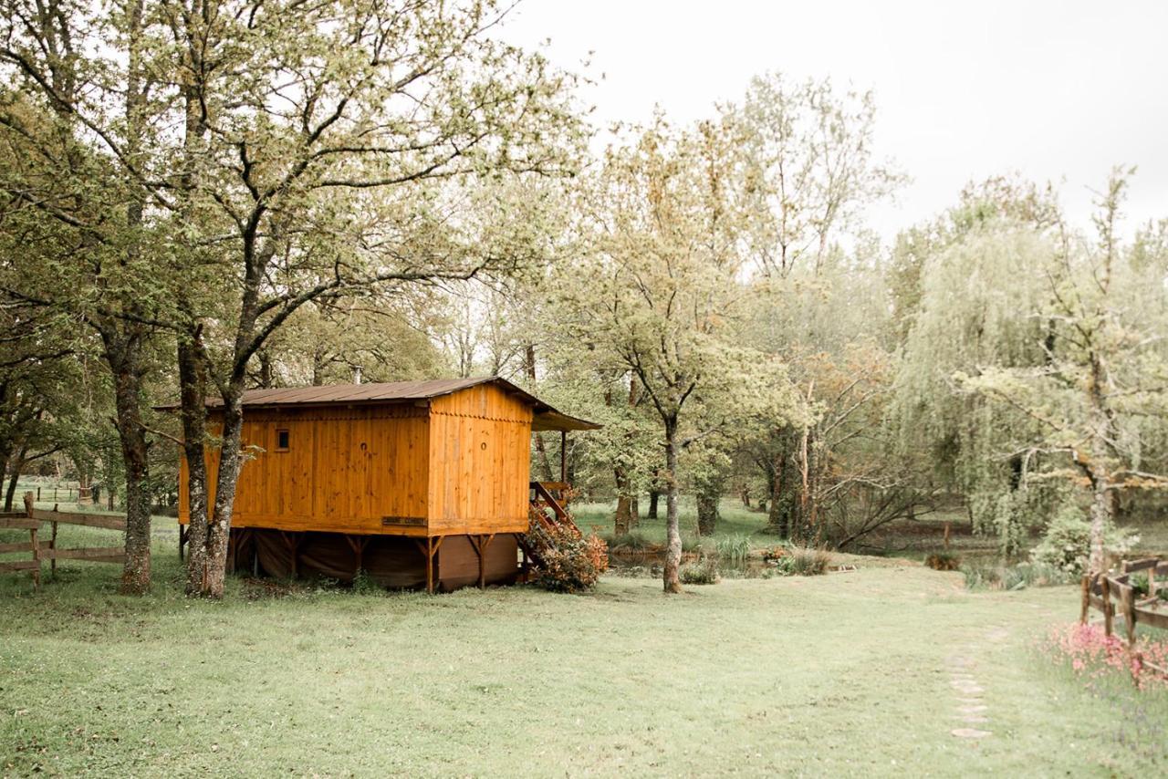 Le Ranch Amadeus Acomodação com café da manhã Saint-Paul-en-Born Exterior foto