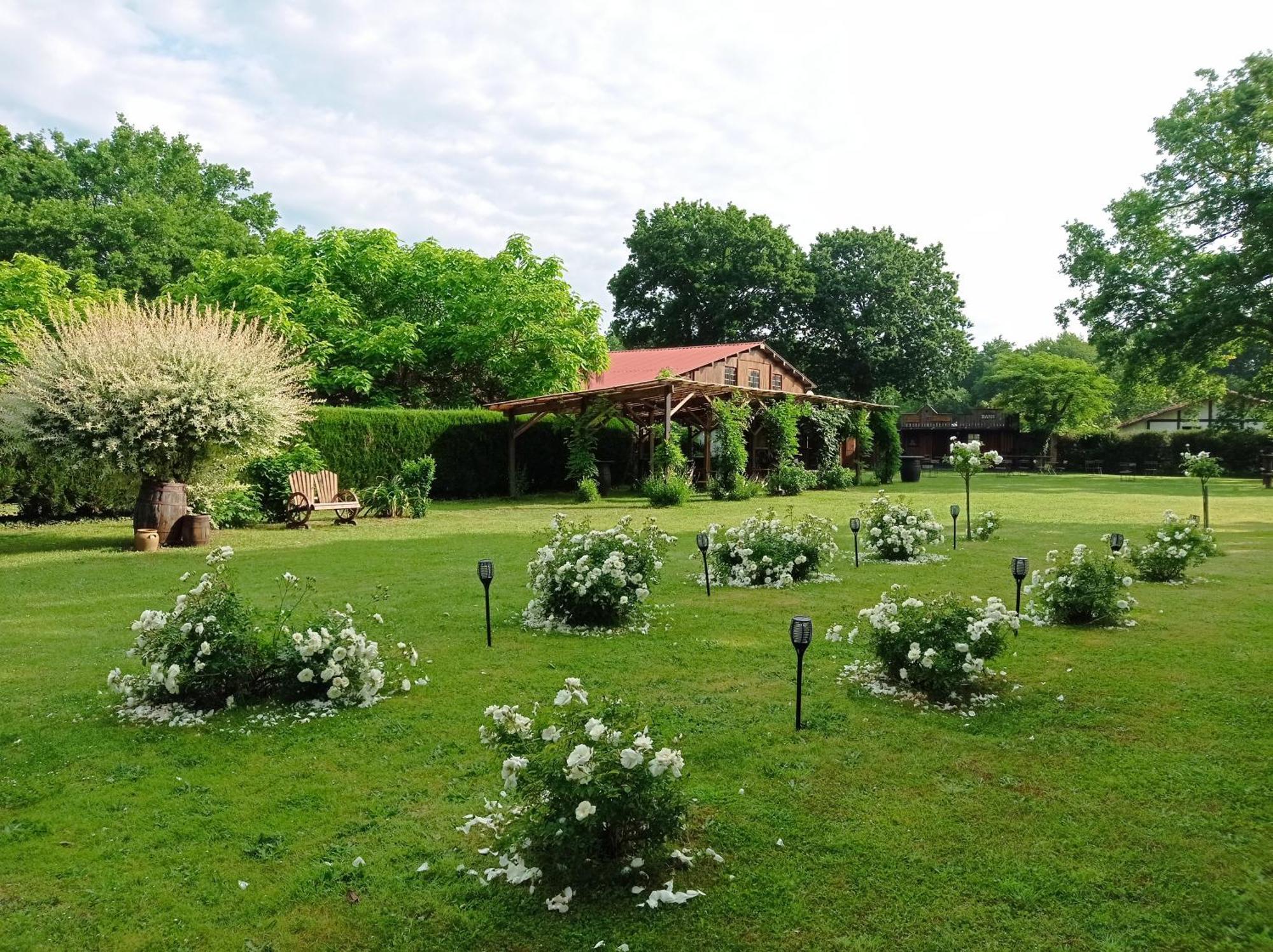 Le Ranch Amadeus Acomodação com café da manhã Saint-Paul-en-Born Exterior foto